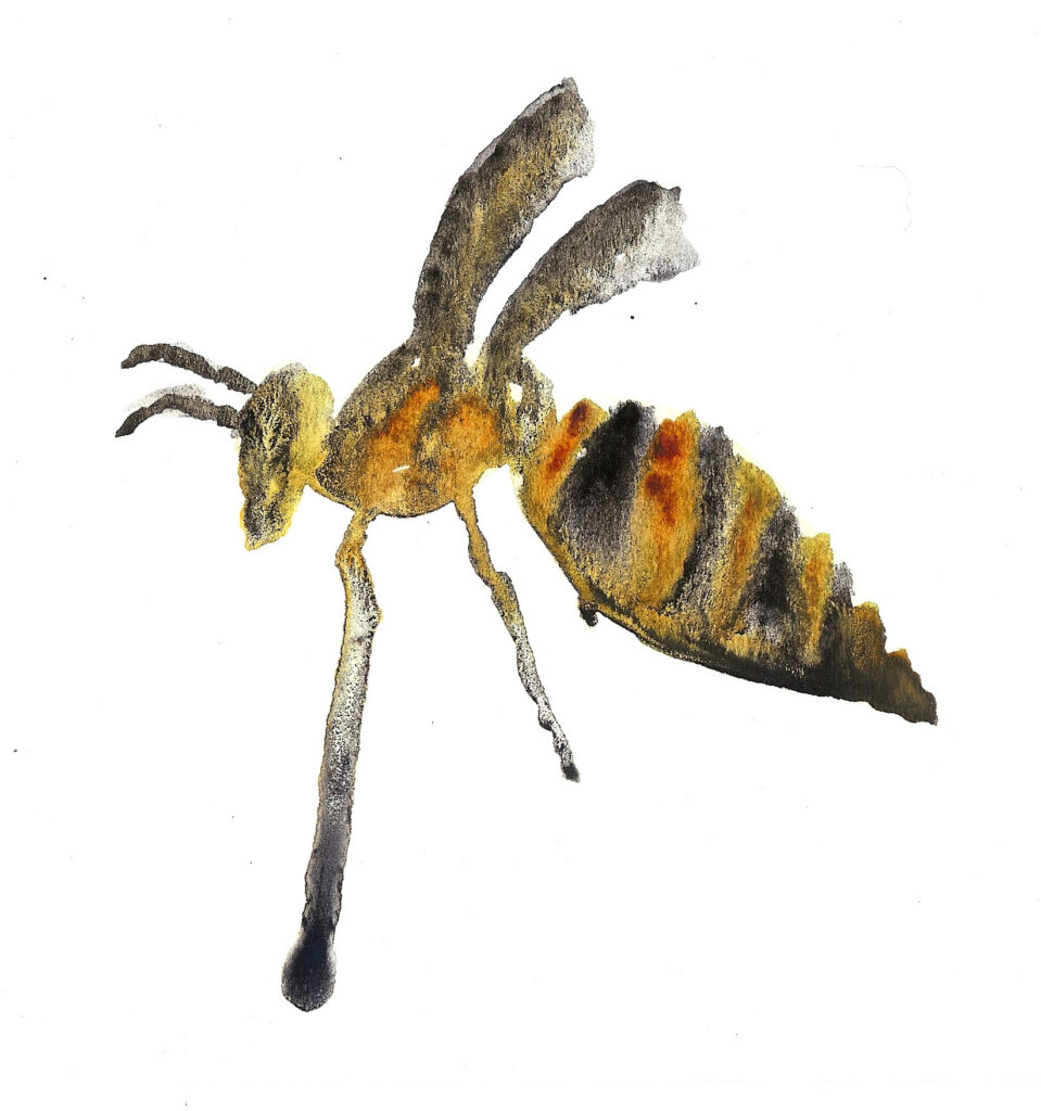 Bee. Watercolor on watercolor paper. Janice Greenwood. Original Art.