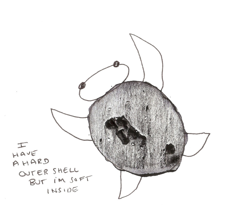 The Boy, the Mole, the Fox and the Horse